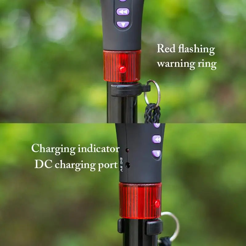 Guardian Light & Alarm Walking Stick